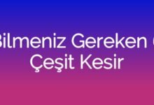 Bilmeniz Gereken 6 Çeşit Kesir