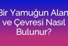 Bir Yamuğun Alanı ve Çevresi Nasıl Bulunur?