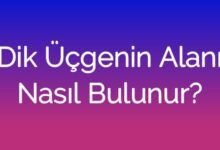 Dik Üçgenin Alanı Nasıl Bulunur?
